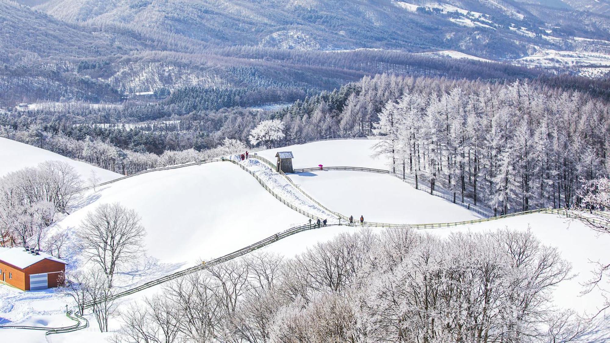 Holiday Inn Resort Alpensia Pyeongchang By Ihg Buitenkant foto